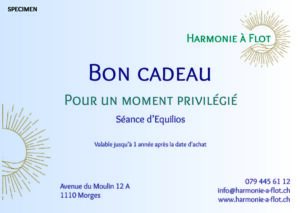 Bon cadeau pour une séance d'Equilios